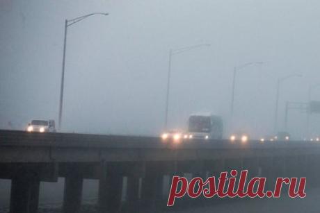 Европе предрекли катастрофу. Остановка Гольфстрима может привести к ледяному коллапсу в Европе. Катастрофу предрек ведущий научный сотрудник Пущинского научного центра биологических исследований РАН, биофизик и климатолог Алексей Карнаухов. По его словам, Европа может замерзнуть в ближайшие 25 лет.