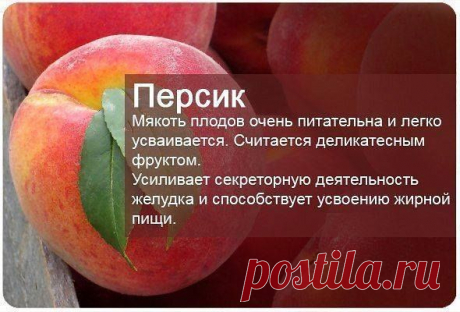 Дикий Камчатский гребешок