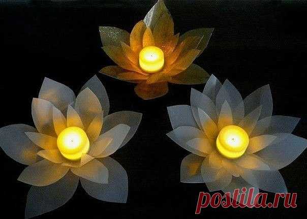 Цветы лотоса из пластиковых бутылок из-под молока