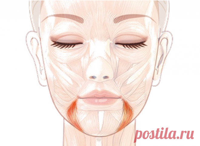 Унылое выражение лица? Поднимаем уголки губ: упражнение «УЛЫБКА» — Всегда в форме!