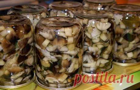 Грибы маринованные