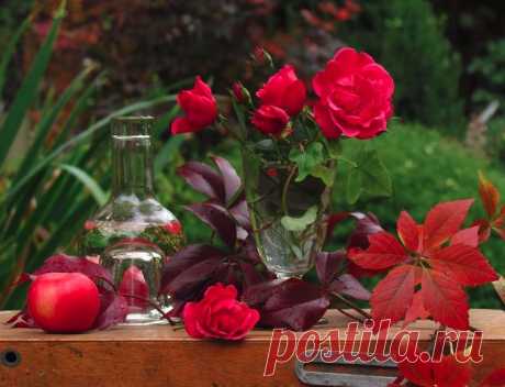 Осенние натюрморты! Прощай, прощай, краса природы!.