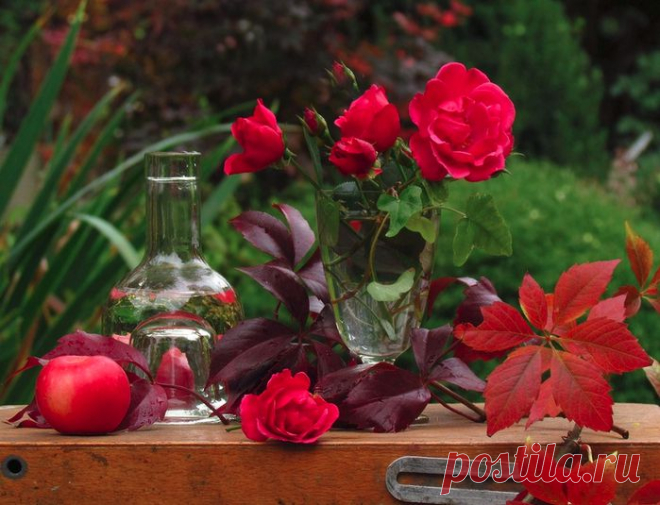 Осенние натюрморты! Прощай, прощай, краса природы!.