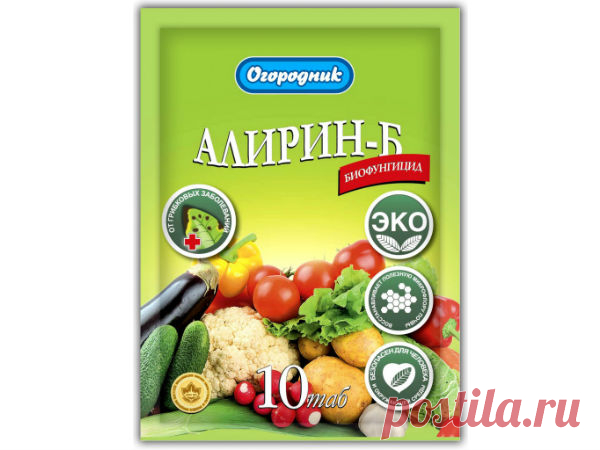 Опрыскивание томатов от фитофторы в теплице и открытом грунте, как спасти помидоры от болезни