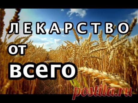 Используй этот рецепт! Укрепи сердце, очисти сосуды и предотврати сердечный приступ! - Страница 2 из 2