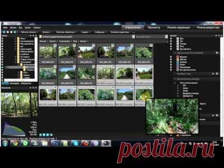 Работа с программой ACDSee Pro - YouTube