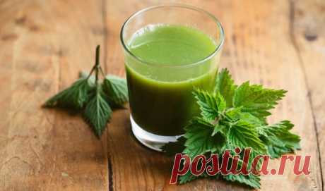 Крапива - рецепты, лечение:Herb-Еco
Свежий крапивный сок прикладывают стерильными тампонами к ранам, ожогам, пролежням, трофическим язвам, им полощут полость рта, горло, закапывают в нос. В холодильнике свежий сок крапивы может храниться не более суток. Похожим действием обладает экстракт крапивы, приготовленный фармацевтами - он представляет собой концентрированный сок крапивы