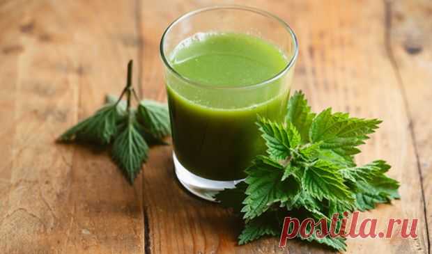 Крапива - рецепты, лечение:Herb-Еco
Свежий крапивный сок прикладывают стерильными тампонами к ранам, ожогам, пролежням, трофическим язвам, им полощут полость рта, горло, закапывают в нос. В холодильнике свежий сок крапивы может храниться не более суток. Похожим действием обладает экстракт крапивы, приготовленный фармацевтами - он представляет собой концентрированный сок крапивы