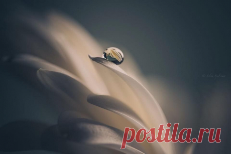 A Lifetime Photography