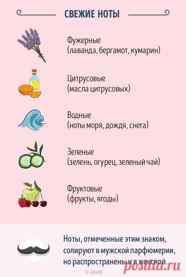 Краткое руководство для тех, кто хочет разбираться в духах