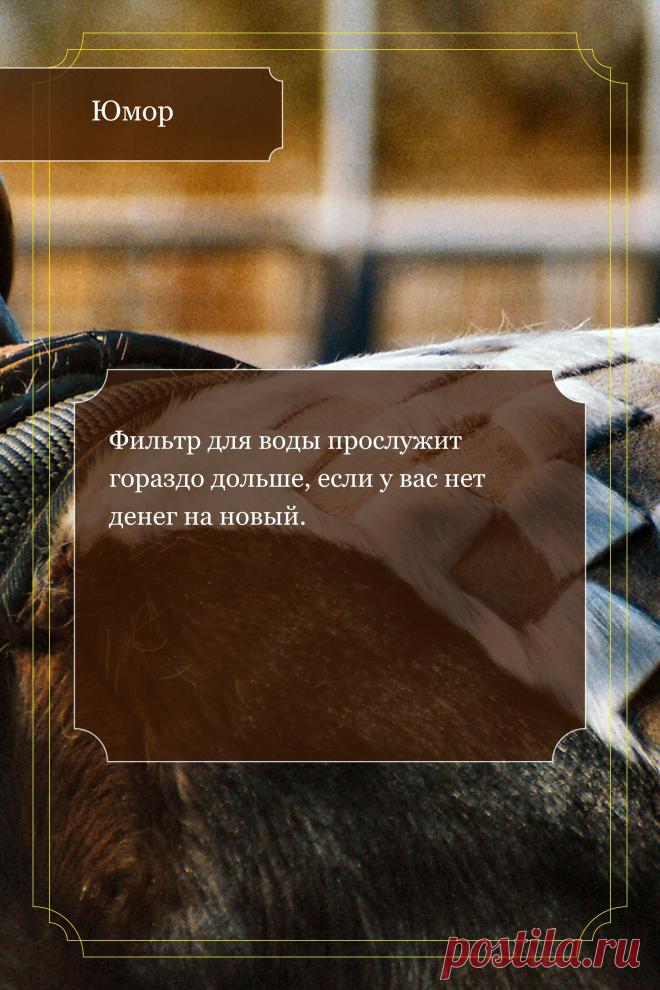 Цитата про «Юмор» — Фильтр для воды прослужит гораздо дольше, если у…