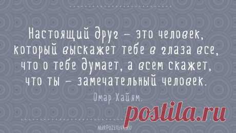 Лучшие цитаты о дружбе в картинках