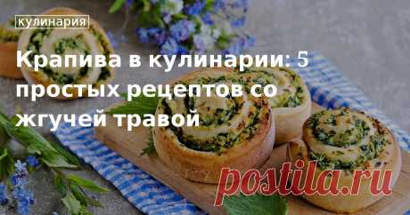 Крапива в кулинарии: 5 простых рецептов со жгучей травой. Кулинарные статьи и лайфхаки Крапива в кулинарии: 5 простых рецептов со жгучей травой. Рецепты, лайфхаки, обзоры и интересные истории из жизни. Все о доме, семье, уюте, готовке, а также рецепты с фото на сайте Едим Дома