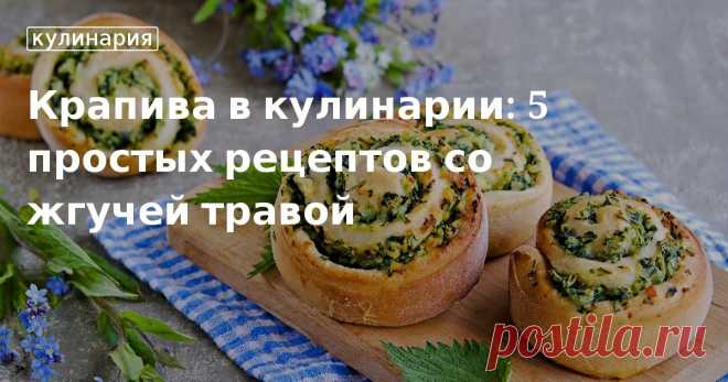 Крапива в кулинарии: 5 простых рецептов со жгучей травой. Кулинарные статьи и лайфхаки Крапива в кулинарии: 5 простых рецептов со жгучей травой. Рецепты, лайфхаки, обзоры и интересные истории из жизни. Все о доме, семье, уюте, готовке, а также рецепты с фото на сайте Едим Дома