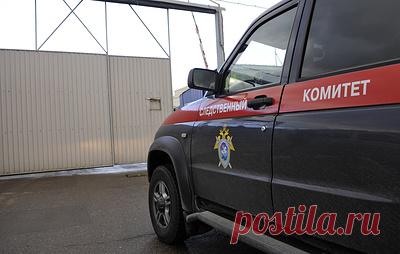 Два мигранта арестованы по обвинению в убийстве и изнасиловании пенсионерки в Подмосковье. Тело 67-летней было обнаружено в 160 метрах от садоводческого товарищества "Магистраль-2"