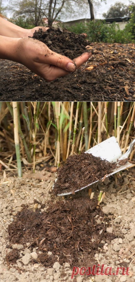 Дополнительные подкормки садово-ягодных культур