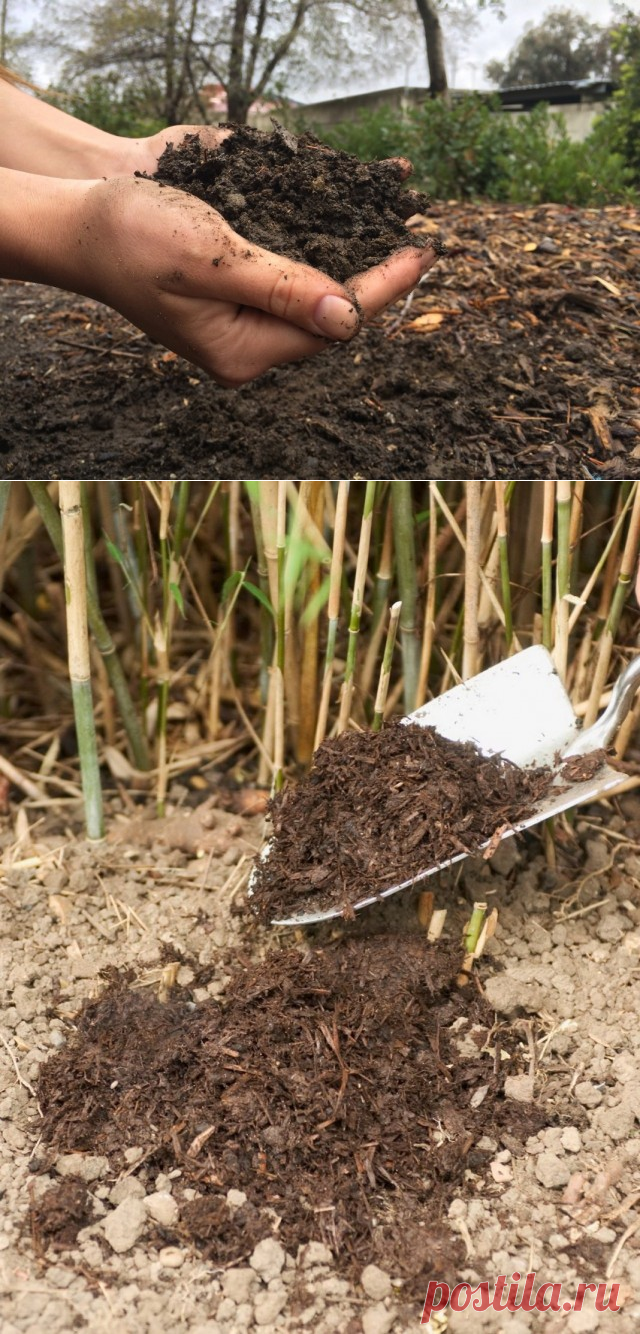 Дополнительные подкормки садово-ягодных культур