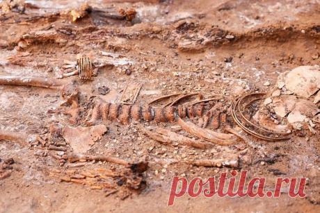 Ученые из Испании нашли следы первой войны в истории человечества. Испанские антропологи обнаружили массовое захоронение с телами 338 человек.