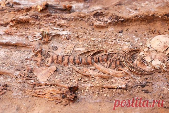 Ученые из Испании нашли следы первой войны в истории человечества. Испанские антропологи обнаружили массовое захоронение с телами 338 человек.