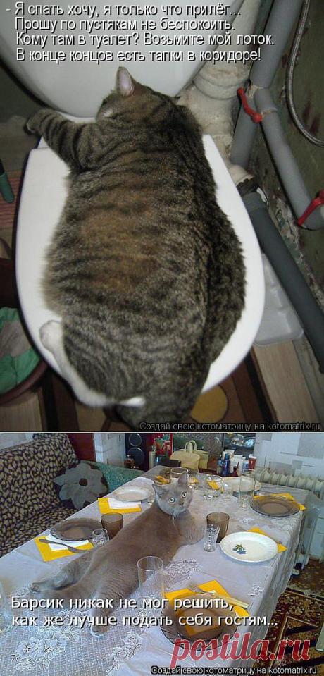 Не беспокоить!