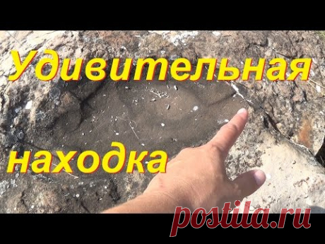 Удивительная находка. Отпечаток ноги древнего человека