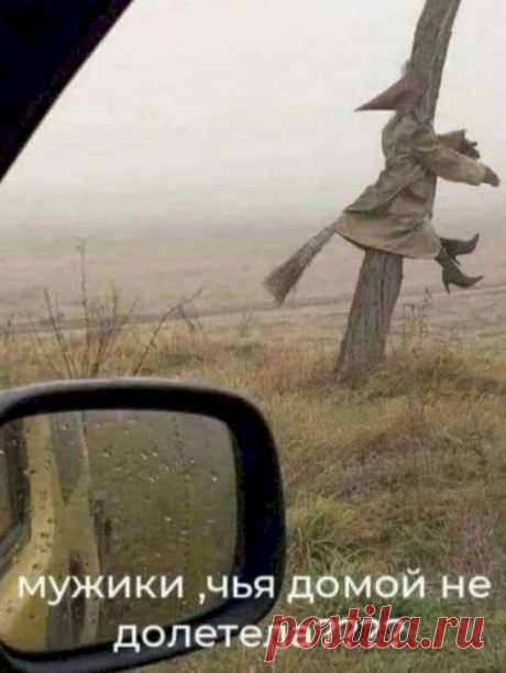 Выпуск №3684 - выпуск анекдотов сайта вокруг смеха