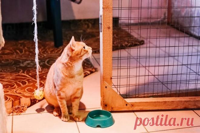 Что делать, если разбился градусник: совет, который спас тысячи людей от беды! » ЧапЧап