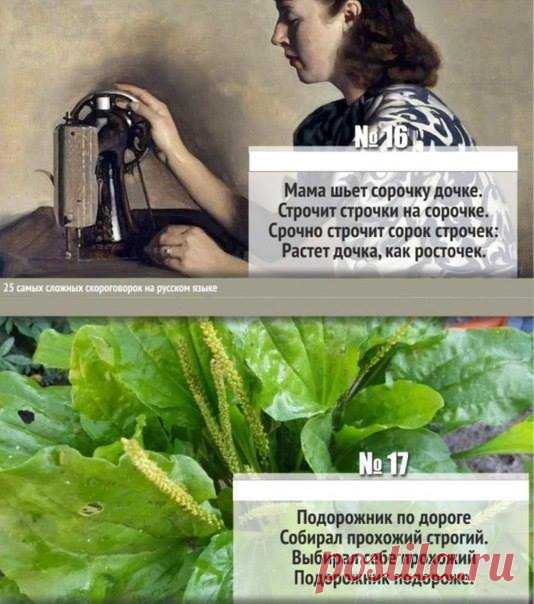Наташа Мадяр