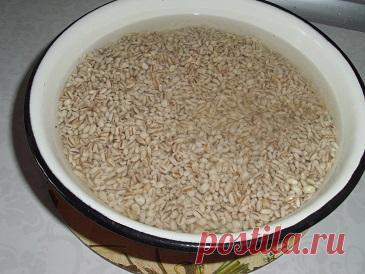 Перловая каша с мясом. Рецепт. Фото