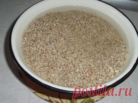 Перловая каша с мясом. Рецепт. Фото