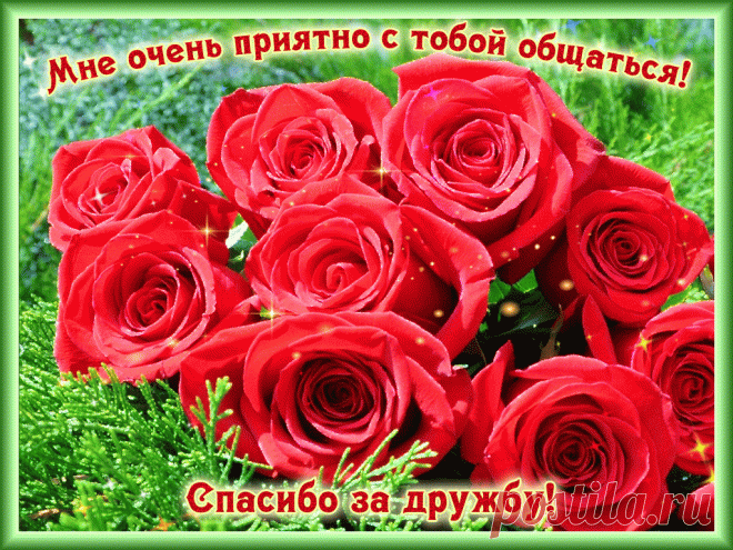 Спасибо за дружбу!