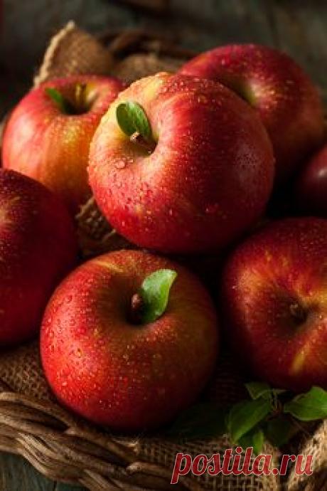 brenthofacker: Fuji Apples Nom Nom... - Farmhouse Touches