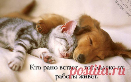 Мой Мир@Mail.Ru