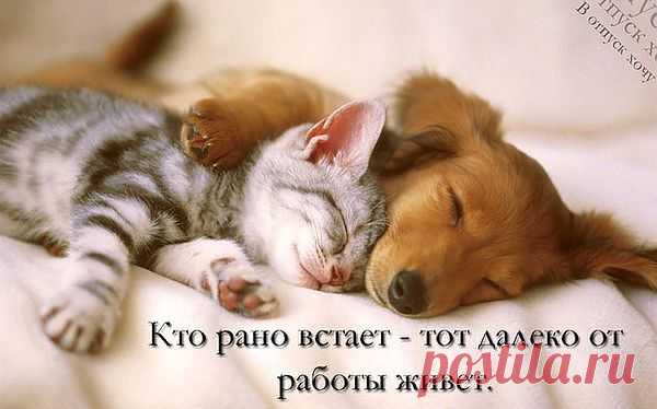 Мой Мир@Mail.Ru