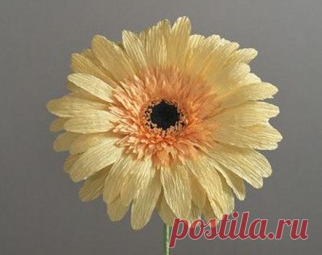 (150) Pinterest