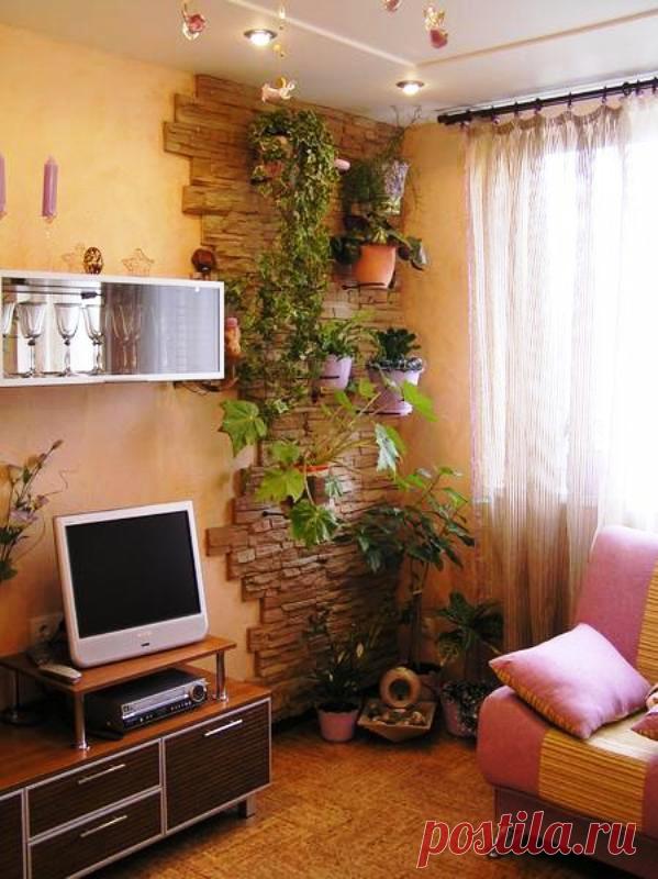 Комнатные растения в дизайне интерьера. Фото. - Садоводы Тюмени