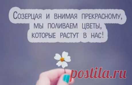 Открытка и цитата.