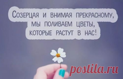 Открытка и цитата.