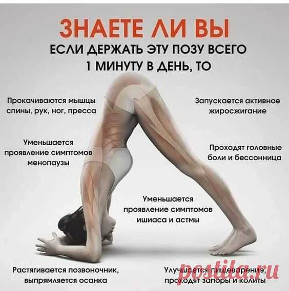 Лидия Алексеевна