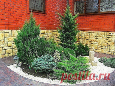 #СадоводствоОвощеводство
 Хвойная клумба.