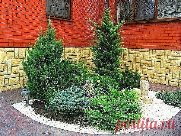 #СадоводствоОвощеводство
 Хвойная клумба.