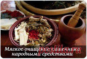 Народные средства и травы для очищения кишечника. | Женский мир