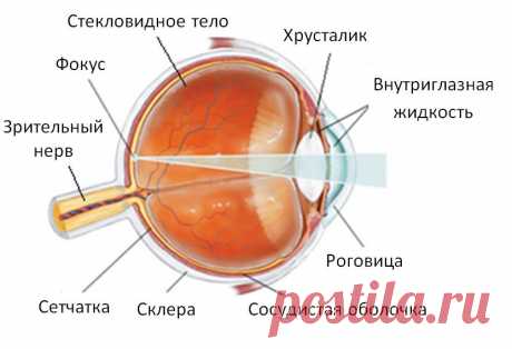 Астигматизм глаз