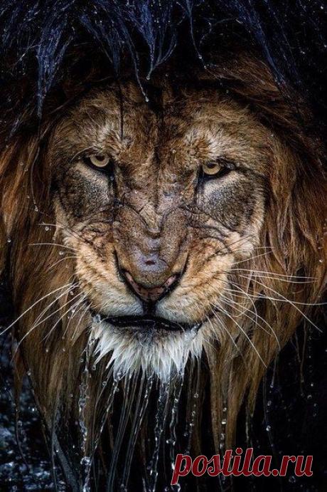 Под терпением кроется мужество и золото / Основы бизнеса