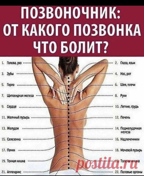 Пин на доске Здоровье