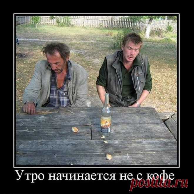 Смешные картинки с надписями - Демотиваторы (39 шт.)