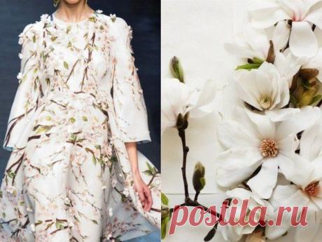 • D&amp;G S/S 2014