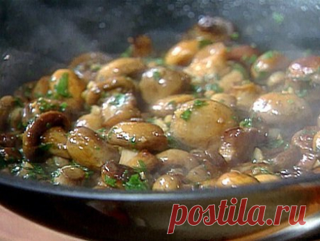 Подборка самых вкусных и полезных грибных блюд