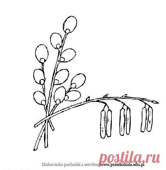 Вышивка гладью. Эскизы: Вербочка