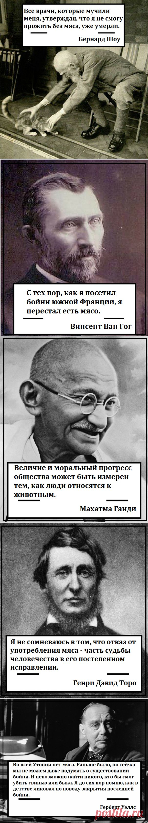 Что случится, если люди перестанут есть мясо — Наука и жизнь